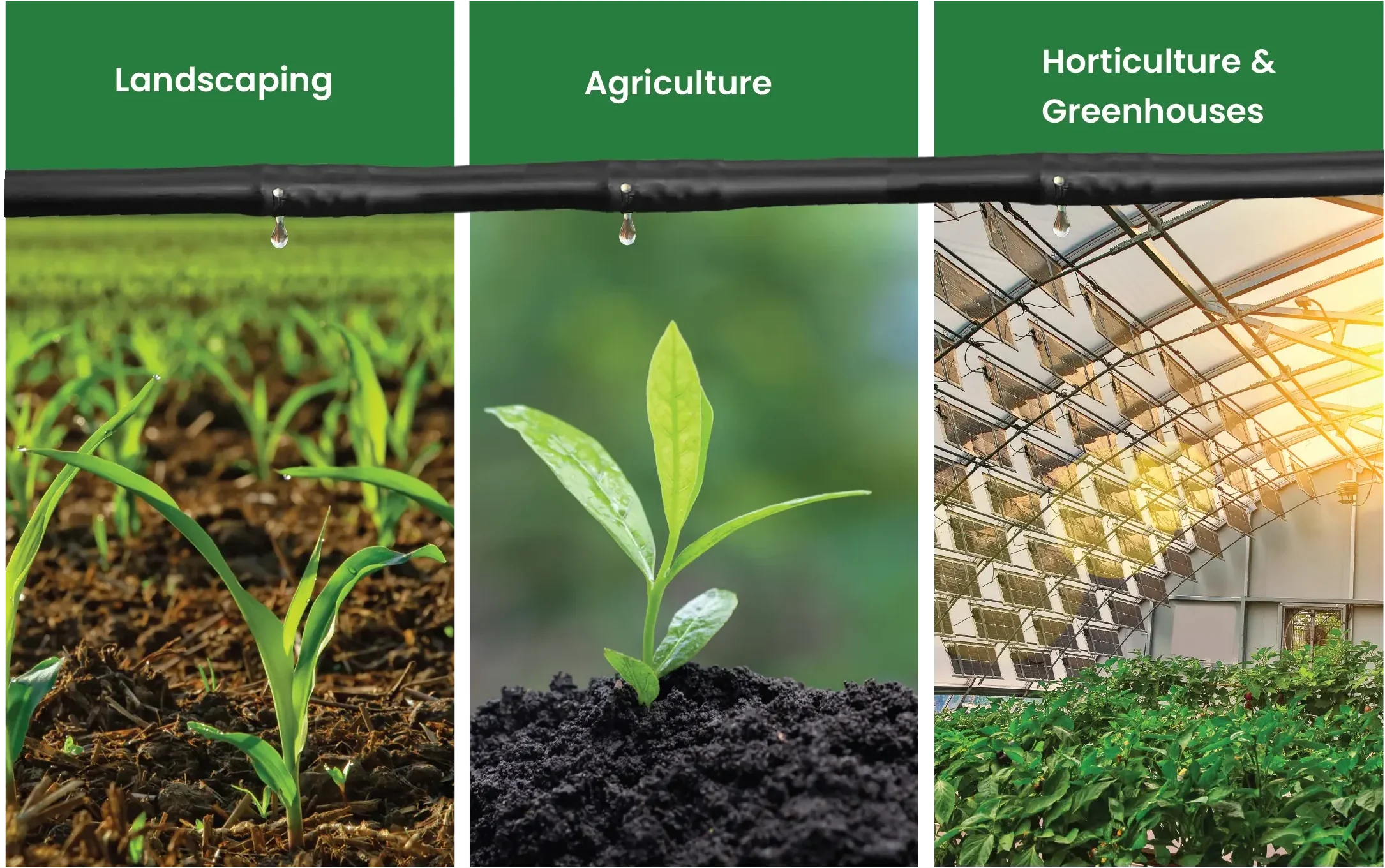 Best dripline in the UAE